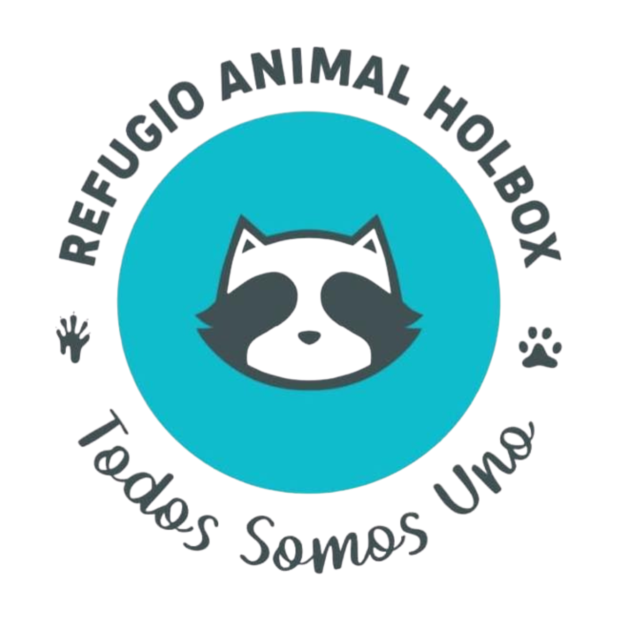 Refugio Animal Holbox