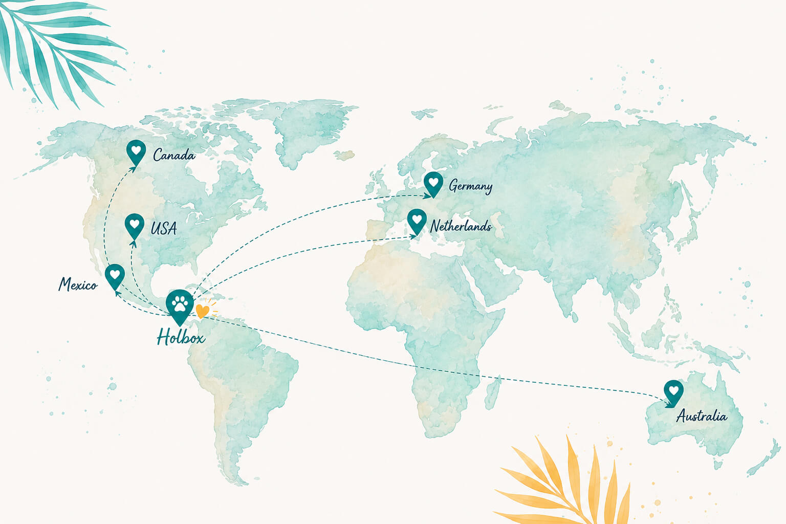 Refugio Animal Holbox Happy Endings World Map